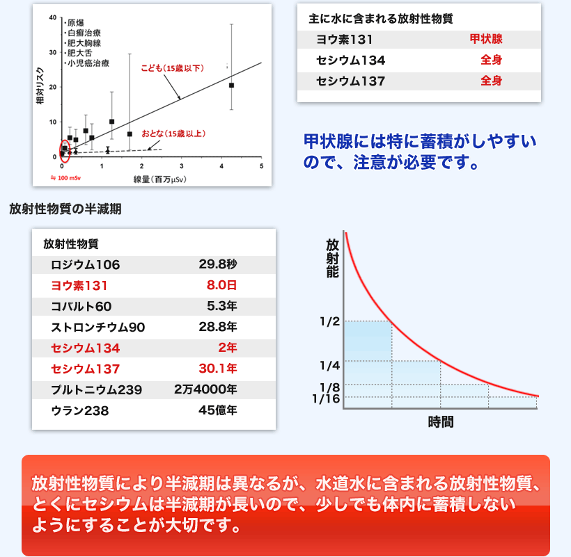 放射性物質により半減期は異なるが、水道水に含まれる放射性物質、とくにセシウムは半減期が長いので、少しでも体内に蓄積しないようにすることが大切です。